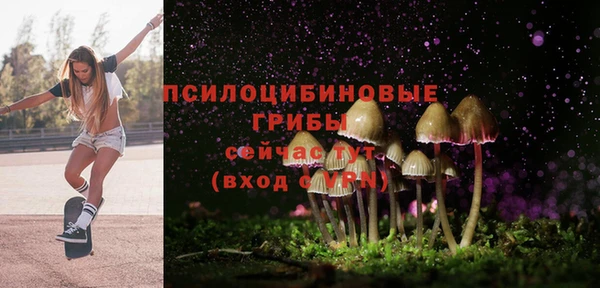 героин Алзамай