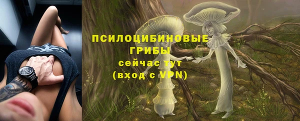героин Алзамай
