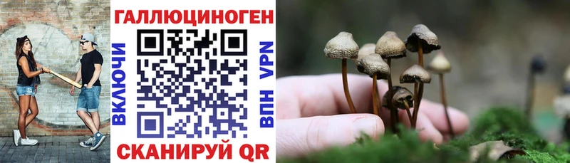 Галлюциногенные грибы мицелий  Коркино 